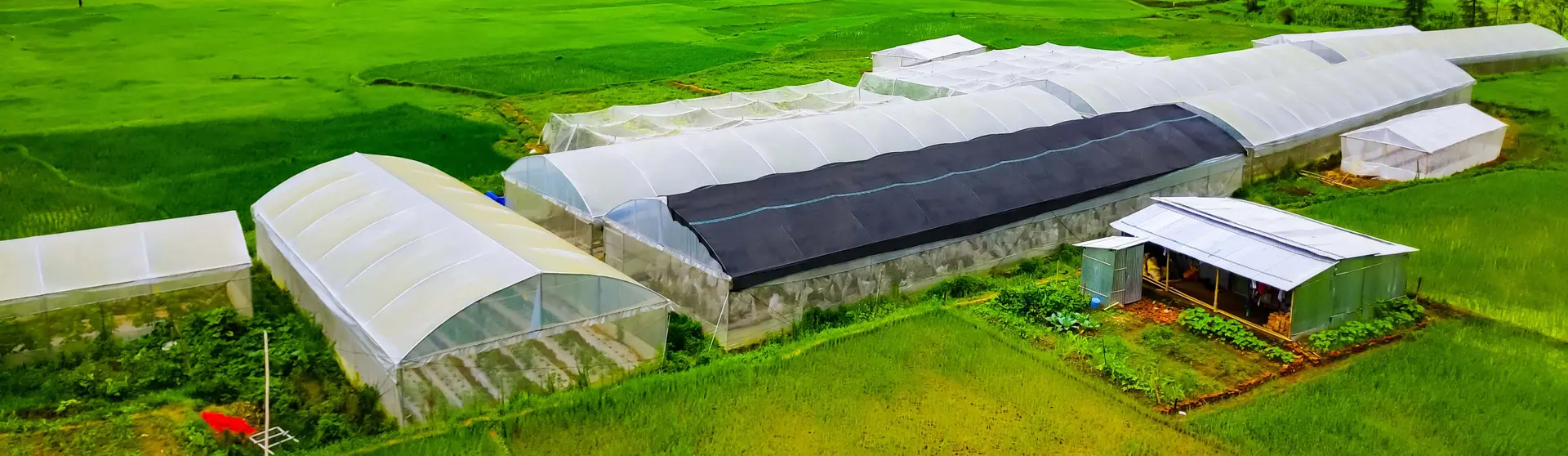 Aerial view of Sarba Shrestha Seeds' polytunnel production site surrounded by green rice paddies and hills